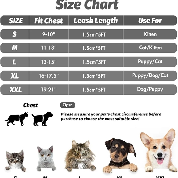 Cat harness - Picture 2 of 6